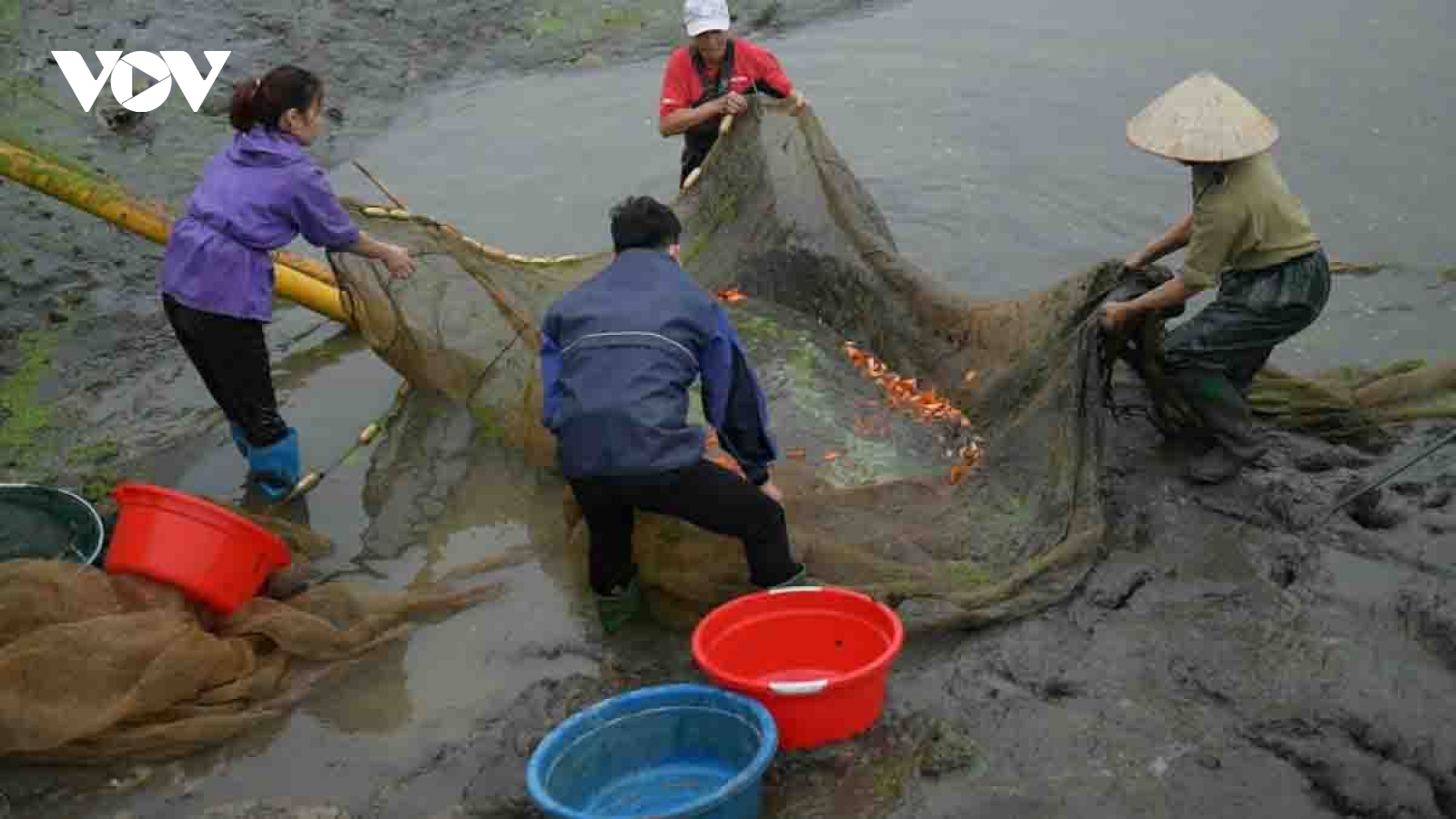 Thuy Tram carp village busy on Kitchen Gods Day